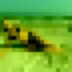 Profil de Zelda à Châteauvillain (33 ans) - plan cul gratuit