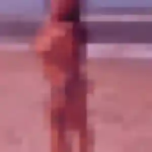 Jessica, 25 ans, en ligne à Chélieu pour une rencontre coquine