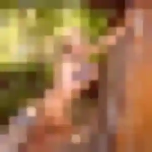 Caroline, femme de 32 ans propose plan cul à Chémery-les-Deux