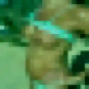 Photo de Therese à Cheminon (44 ans) - plan cul anonyme