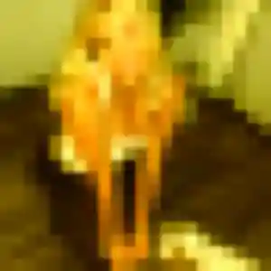 Lily, femme de 28 ans cherche plan cul à Chiré-en-Montreuil