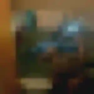 Noura (27 ans) à Civray-de-Touraine propose une rencontre rapidement