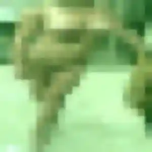 Stephanie, 37 ans, dispo pour plan cul à Clémont