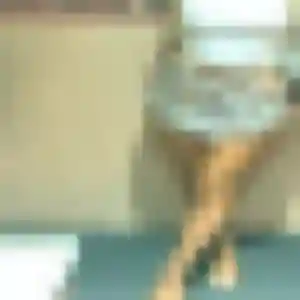 Dana, femme de 33 ans cherche plan cul à Colombiers