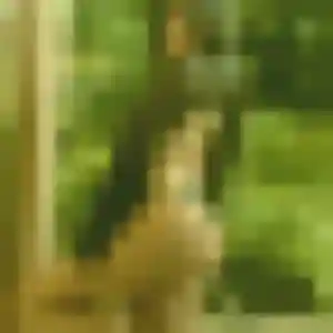 Photo exclusive de Blandine, 36 ans à Combas - rencontre coquine