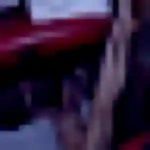 Profil de Brune à Combles (23 ans) - plan cul anonyme