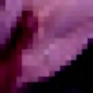 Profil de Ximena à Combrand (38 ans) - plan cul anonyme