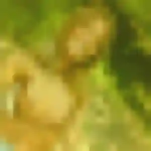 Anne, femme de 22 ans propose plan cul à Cordon