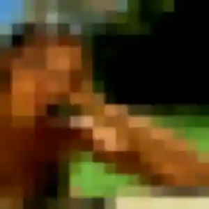 Photo perso de Bertrane, 43 ans à Corre - rencontre sans lendemain