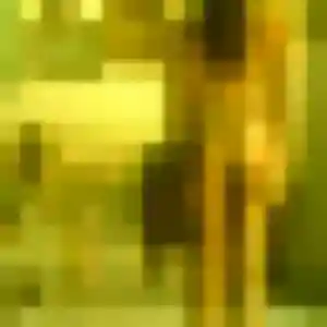 Photo de Leila à Coudun (40 ans) - plan cul anonyme