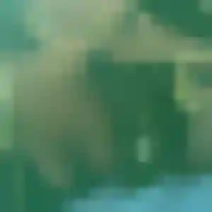 Contacte Josiane, 22 ans à Coulogne en privé