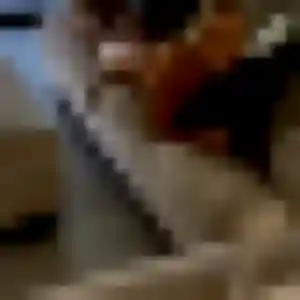 Sexy Delphine, 43 ans à Coulounieix-Chamiers - voir sa photo