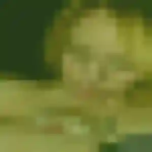 Marie de Couzeix, 44 ans - plan cul sans prise de tête