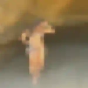 Idalina (39 ans) à Cravanche cherche une rencontre aujourd'hui