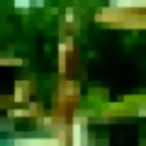 Photo de Sandrine à Cuise-la-Motte (34 ans) - plan cul gratuit
