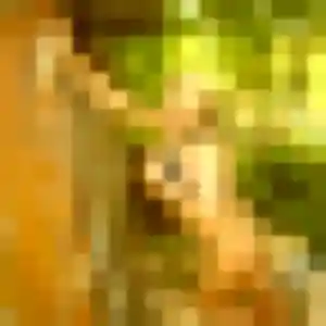 Photo exclusive de Lola, 29 ans à Culin - rencontre coquine