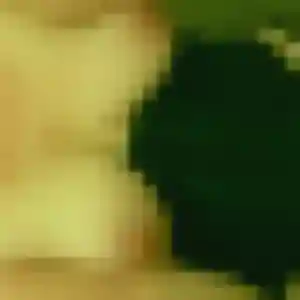 Photo de Aisha à Dannemarie-sur-Crète (26 ans) - plan cul anonyme