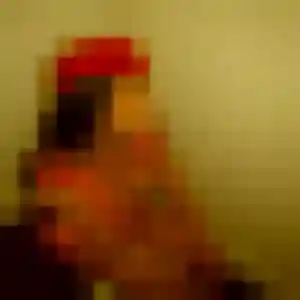 Photo privée de Zina, 26 ans à Darvoy - rencontre coquine