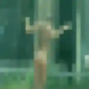 Rencontre Yannick, 42 ans à Davayé en t'inscrivant