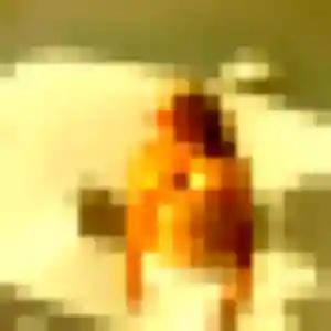 Photo exclusive de Yasmina, 37 ans à Dégagnac - rencontre coquine