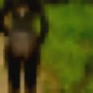 Photo exclusive de Benedicte, 31 ans à Diémoz - rencontre sans lendemain
