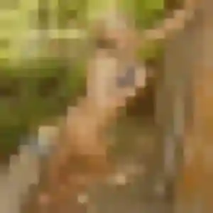 Margaux, 29 ans, cherche un plan cul à Dienville