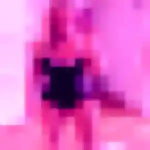Découvre Clarisse, 41 ans à Domloup gratuitement