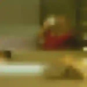 Johanna (29 ans) à Durdat-Larequille cherche une rencontre aujourd'hui