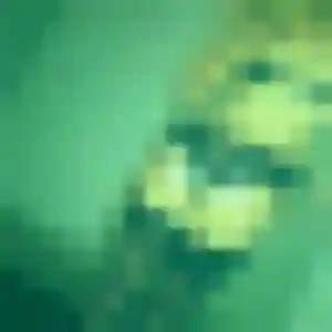 Sexy Therese, 37 ans à Englos - voir sa photo