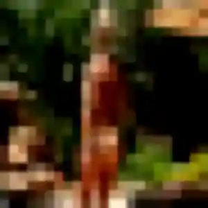 Photo perso de Lola, 33 ans à Éperlecques - rencontre coquine