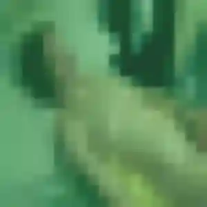 Vanessa, 43 ans, en ligne à Épinay-sous-Sénart pour un plan cul
