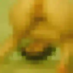 Ximena, femme de 24 ans cherche plan cul à Épron