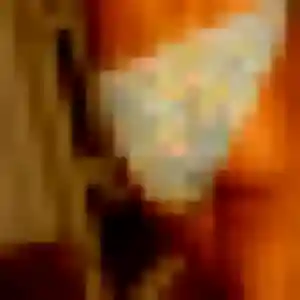 Ines, femme de 38 ans cherche plan cul à Erbrée