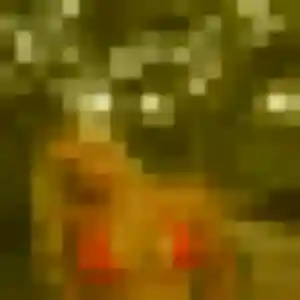 Photo privée de Salome, 39 ans à Eschbach - rencontre coquine