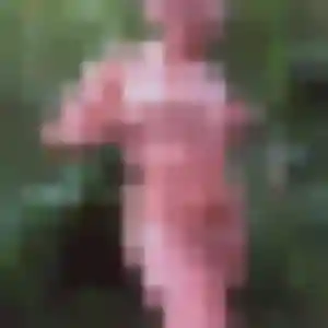 Photo de Sabine à Escource (22 ans) - plan cul gratuit