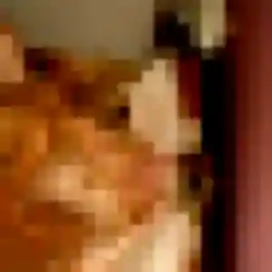 plan cul à Espère : photo de Sofia, 44 ans - inscription gratuite