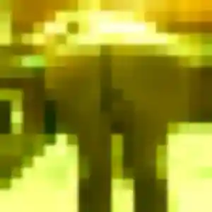 Contacte Irina, 42 ans à Espiet gratuitement