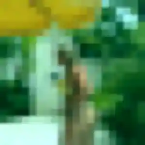 Photo exclusive de Rosalie, 24 ans à Étais-la-Sauvin - rencontre coquine