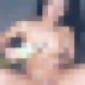 Maeva, fille de 41 ans cherche plan cul à Étrœungt
