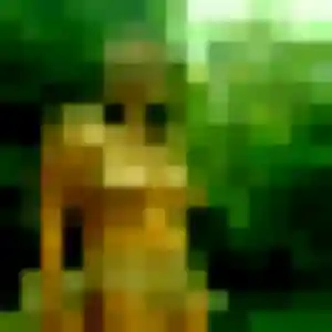 Photo privée de Sonia, 35 ans à Faremoutiers - plan discret