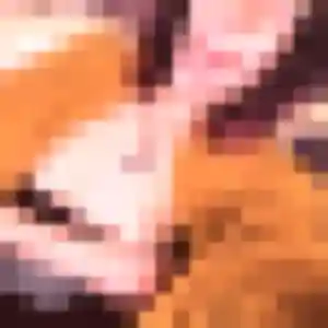 Photo de Constance à Féchain (37 ans) - plan cul anonyme