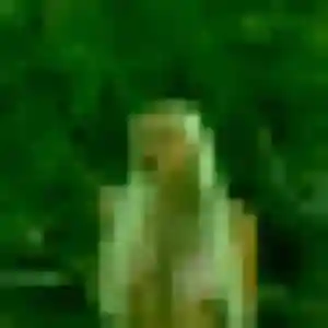 Prisca, 34 ans, disponible à Fercé-sur-Sarthe pour un plan cul
