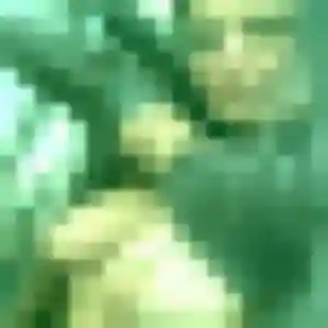 Photo de Louisa à Ferques (28 ans) - plan cul sans inscription