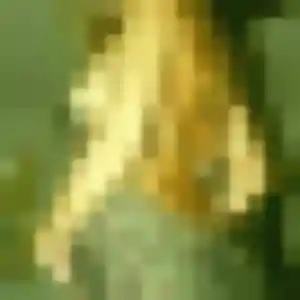 Sexy Benedicte, 25 ans à Ferrières-Haut-Clocher - voir sa photo