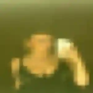 Photo sexy de Marion, 36 ans à Flancourt-Crescy-en-Roumois - rencontre sans lendemain