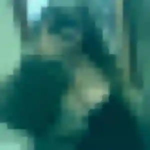 Jolie Marie-Louise, 28 ans à Fleury-sur-Orne - découvrir son profil