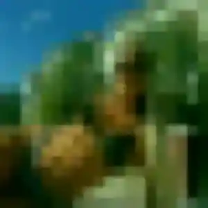 Photo exclusive de Sarah, 34 ans à Florac Trois Rivières - rencontre coquine