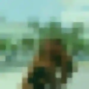 Photo perso de Samira, 42 ans à Fourques - rencontre sans lendemain