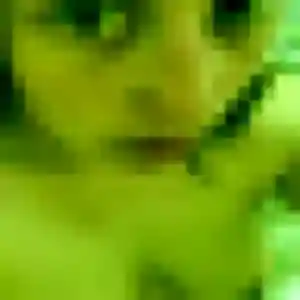 Photo perso de Viviane, 43 ans à Fréjus - rencontre sans lendemain