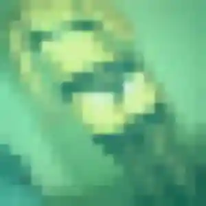 Amira, femme de 39 ans cherche plan cul à Frencq